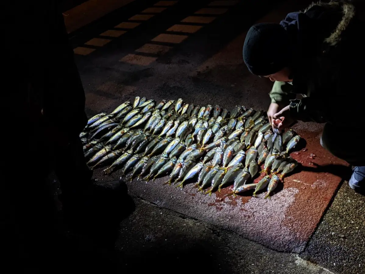 看到的时候实在是震惊了